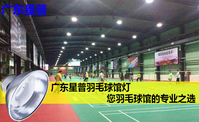專業羽毛球館燈