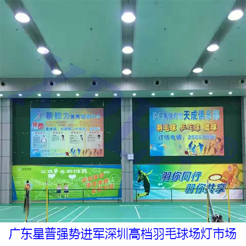 室內(nèi)羽毛球場燈