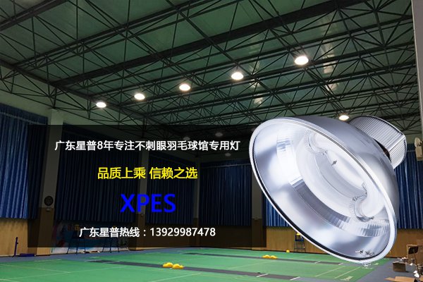 羽毛球館用燈.jpg