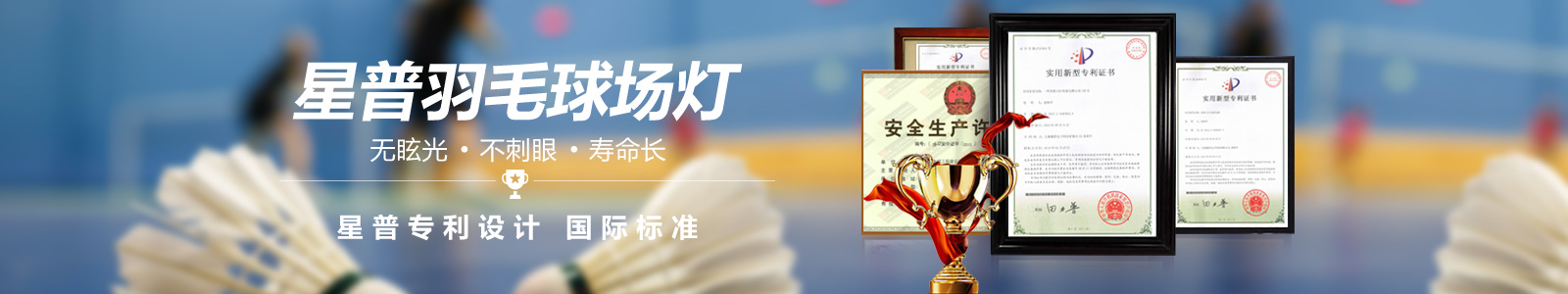 室內羽毛球場專用燈